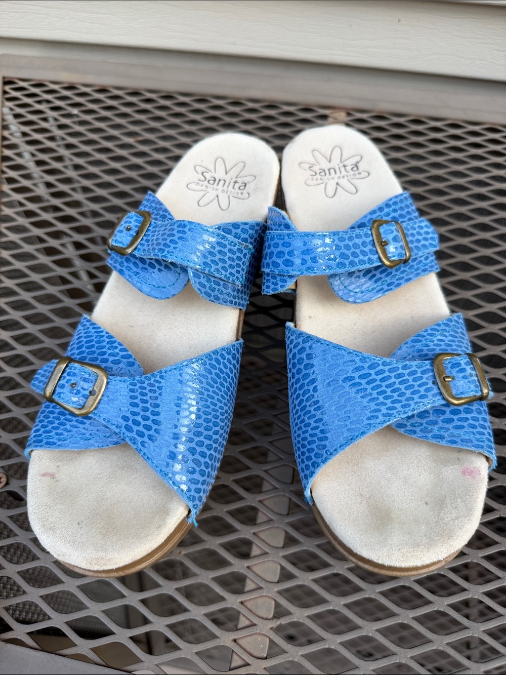 Sanita Blue Buckle Leather Sandals or Clogs Size 40 (9-9.5)